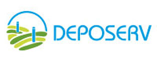 Logo von DEPOSERV